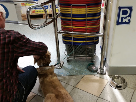 Dogs of Berlin